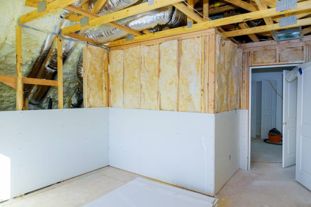 Best Geographic-Specific Insulation Services in Lincoln, AR